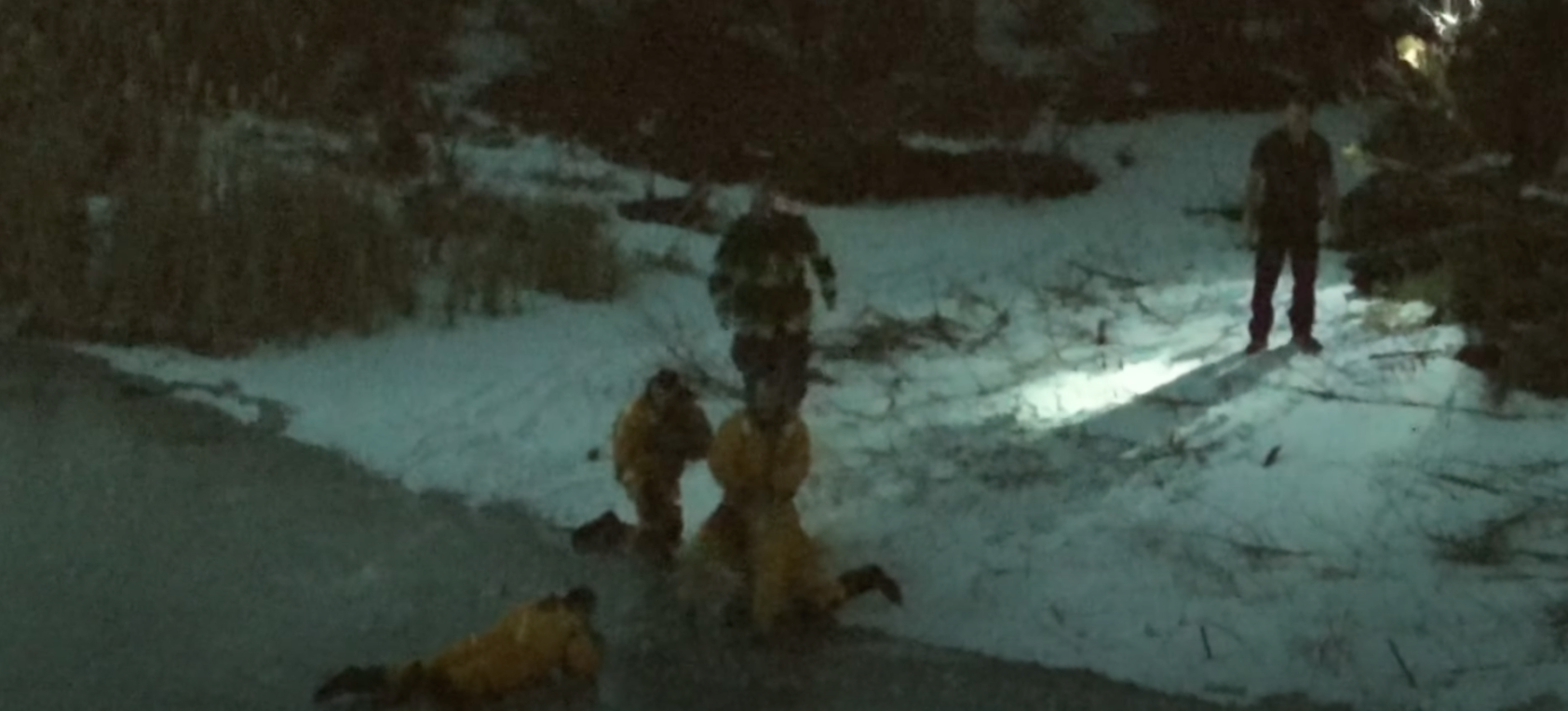 Lake Waban, Wellesley, dog and human ice rescue